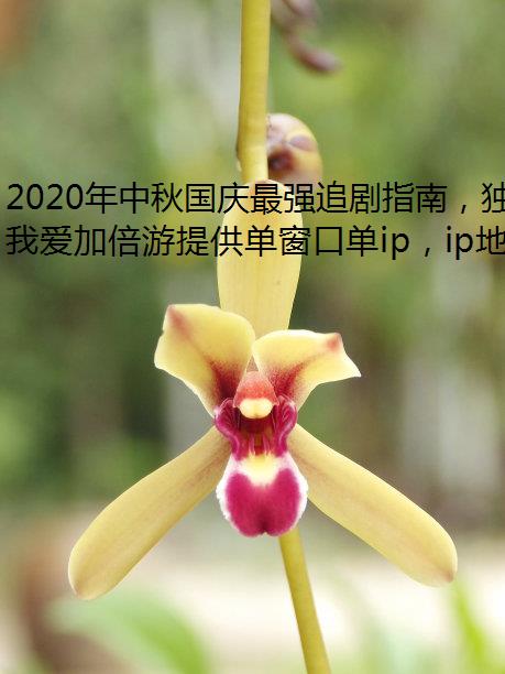 2020年中秋国庆最强追剧指南，独立ip海外党用我爱加倍游畅快看剧！