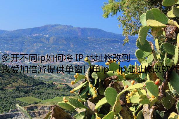 多开不同ip如何将 IP 地址修改到西藏?我爱加倍游代理帮你轻松搞定