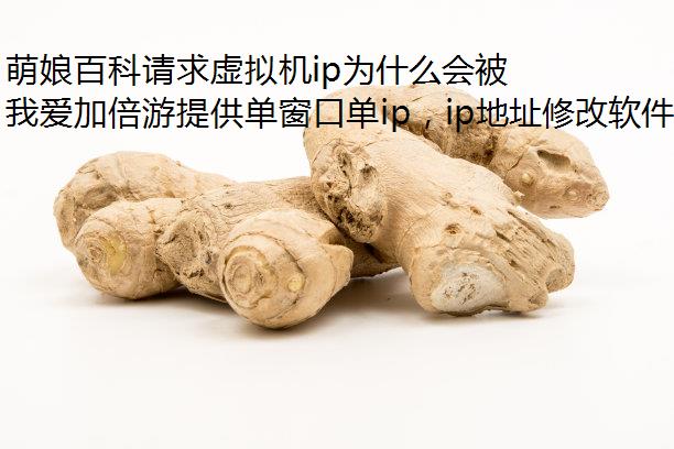 萌娘百科请求虚拟机ip为什么会被阻断?