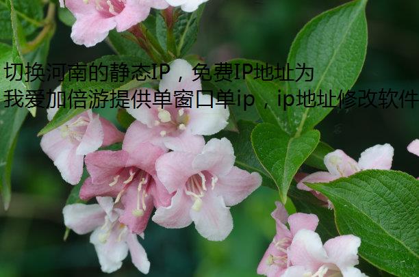 切换河南的静态IP，免费IP地址为什么首选我爱加倍游？