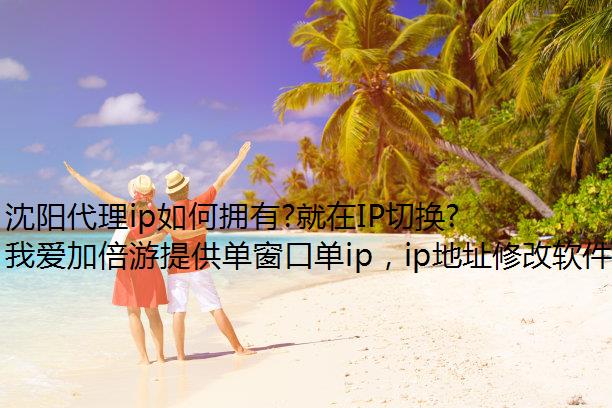 沈阳代理ip如何拥有?就在IP切换软件我爱加倍游静态ip!