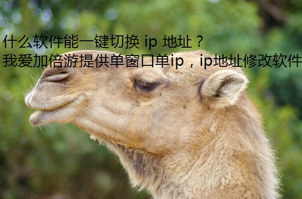 什么软件能一键切换 ip 地址？