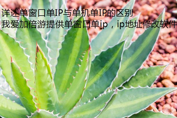 详述单窗口单IP与单机单IP的区别，换IP软件哪个更好？