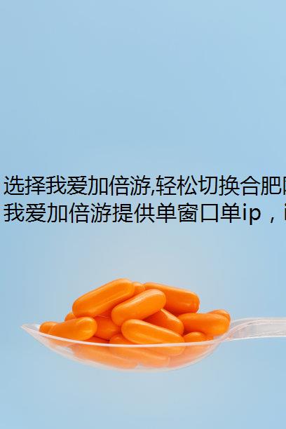 选择我爱加倍游,轻松切换合肥网游加速器静态代理ip!