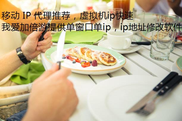 移动 IP 代理推荐，虚拟机ip快速获取各地移动 IP 地址