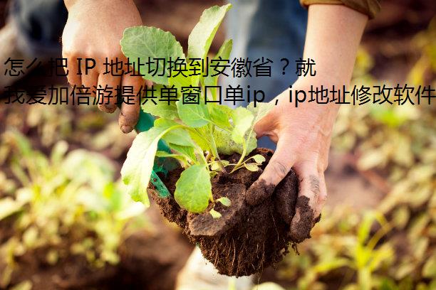 怎么把 IP 地址切换到安徽省？就用我爱加倍游静态代理