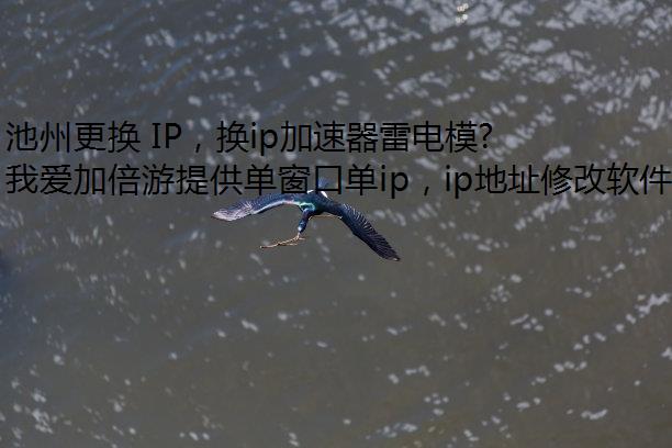 池州更换 IP，换ip加速器雷电模拟器中修改 IP