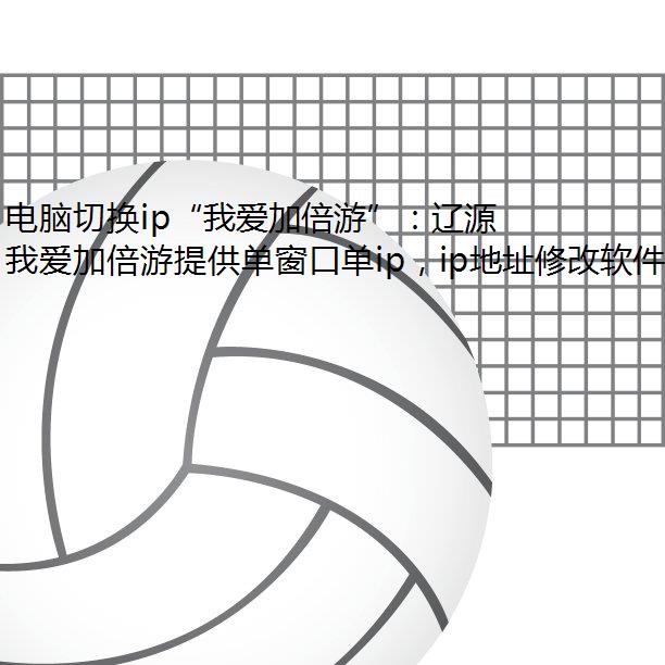 电脑切换ip“我爱加倍游”：辽源市IP切换与单窗口单IP功能详解