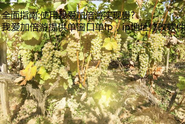 全面指南:使用我爱加倍游实现贵州省多开不同ipIP地址切换与单窗口单IP设置