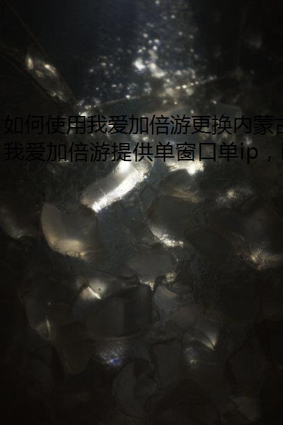 如何使用我爱加倍游更换内蒙古自治区IP地址
