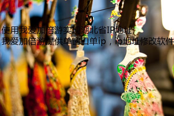 使用我爱加倍游实现湖北省IP地址切换的全面指南