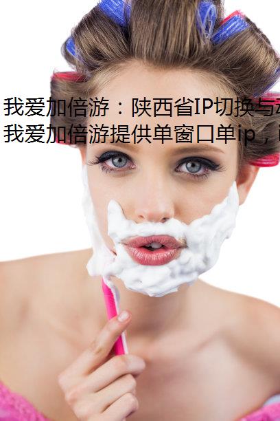 我爱加倍游：陕西省IP切换与动态/静态IP应用全解析