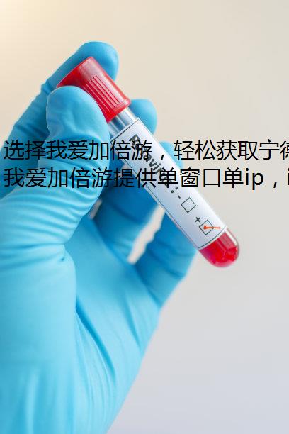 选择我爱加倍游，轻松获取宁德静态网络！